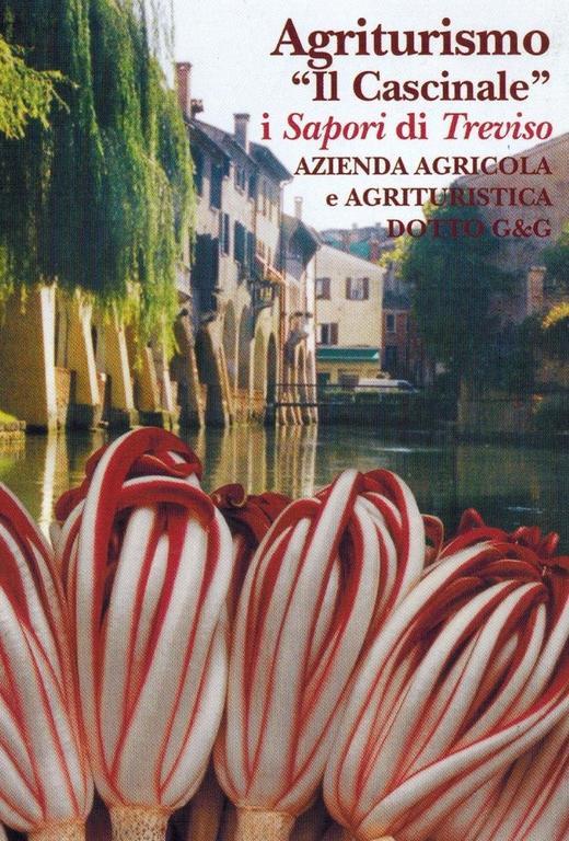 Agriturismo Il Cascinale Treviso Exteriör bild